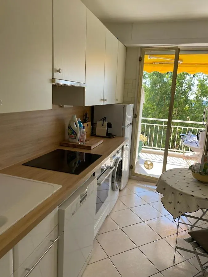 Les Pervenches Apartment Cannes France